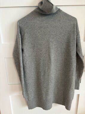 Everlane Soft Grey Turtleneck Sweater Dress